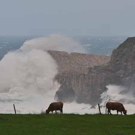 Cavernas Del Bisonte Lägenhet Santillana del Mar