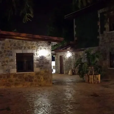 Cavernas Del Bisonte