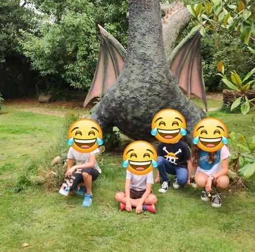 Cavernas Del Bisonte