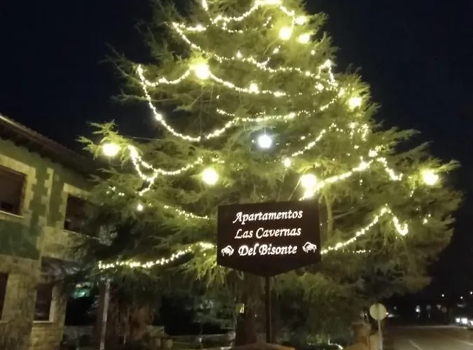 Cavernas Del Bisonte *