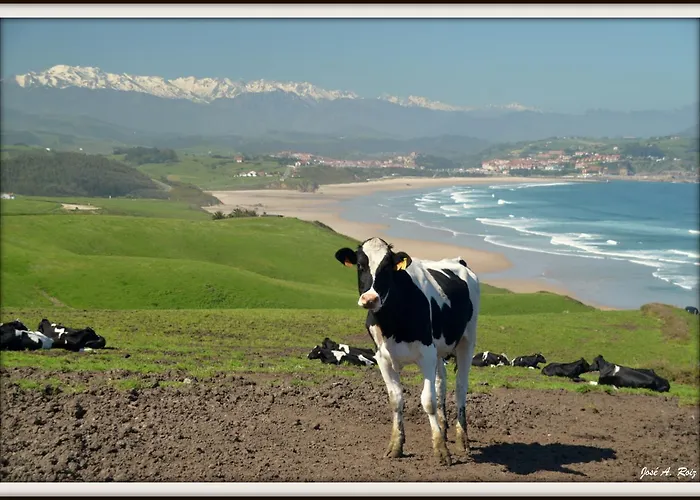 Cavernas Del Bisonte Santillana del Mar