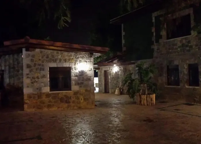 Cavernas Del Bisonte