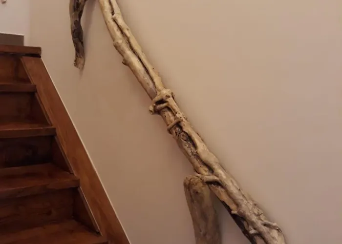 Cavernas Del Bisonte * Santillana del Mar