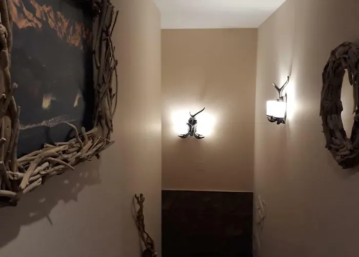 Cavernas Del Bisonte *