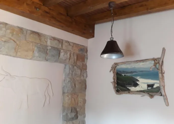 Cavernas Del Bisonte *