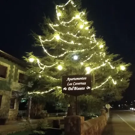 Cavernas Del Bisonte *