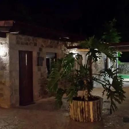 Cavernas Del Bisonte *