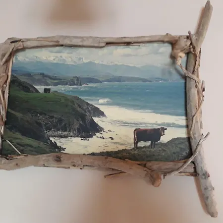 Cavernas Del Bisonte *