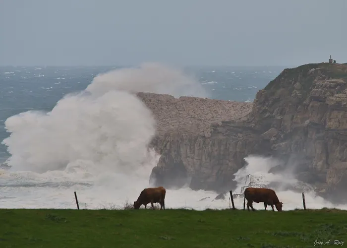 Cavernas Del Bisonte Apartamento Santillana del Mar