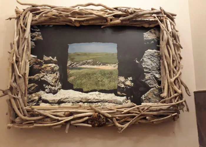 Cavernas Del Bisonte *